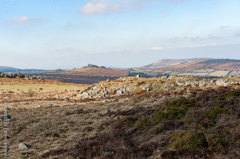 Dartmoor 3