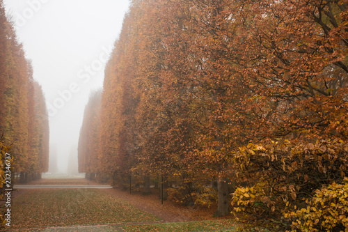 Misty morning in Malmö