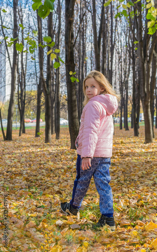 Little girl goes away on the carpet of golden autumn leaves. Mellow autumn. © Andrey