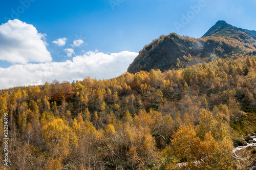 Russia  Arkhyz. Atsgara river valley in autumn in Sunny day