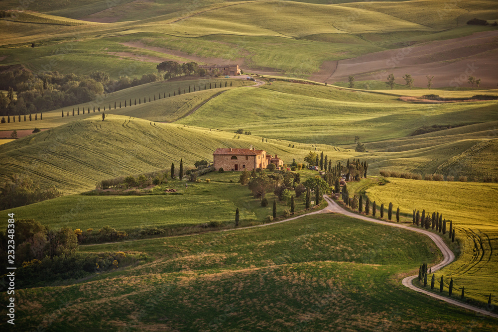 Fototapeta premium Landscape in the hills of Val d'Orcia, Tuscany, Italy
