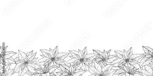 Endless border with beautiful hand drawn poinsettias in lineart stile.