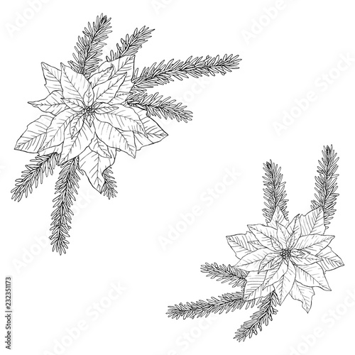 Set of Christmas bouquets made of fir, poinsettia and leaves.