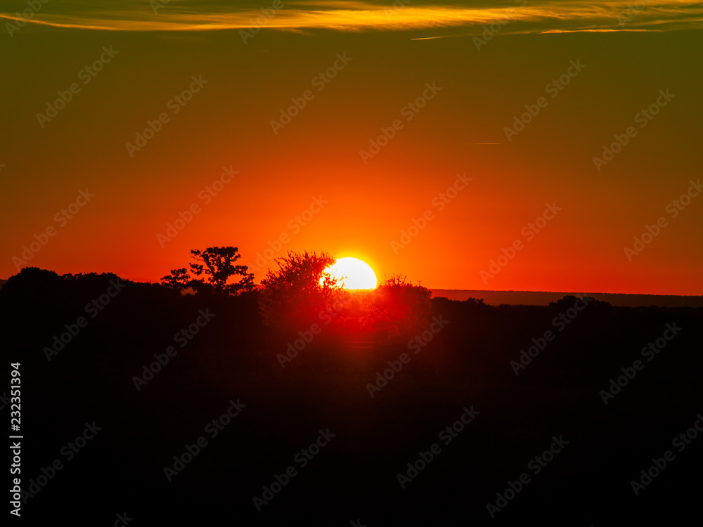 Fototapeta premium Sunset in the pasture with romantic sky with chemtrails and lens flare