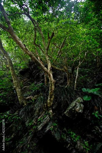 Moody nature of Taroko Gorge in Taiwan