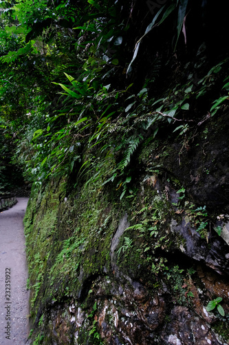Fototapeta Naklejka Na Ścianę i Meble -  Moody nature of Taroko Gorge in Taiwan