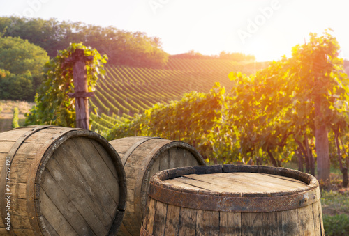 Red wine with barrel on vineyard in green Tuscany, Italy