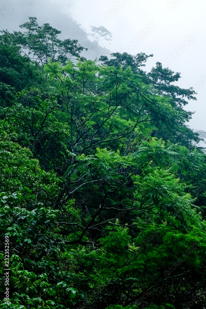 Fototapeta premium Moody Nature of Taroko Gorge in Taiwan