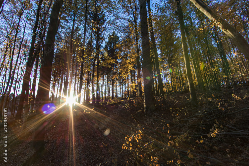 Obraz premium abendstimmung