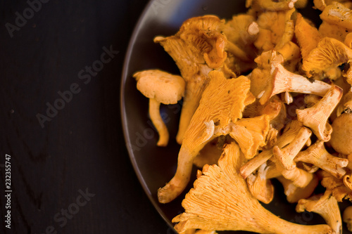 Oyster mushrooms in Brown plate on a wooden table