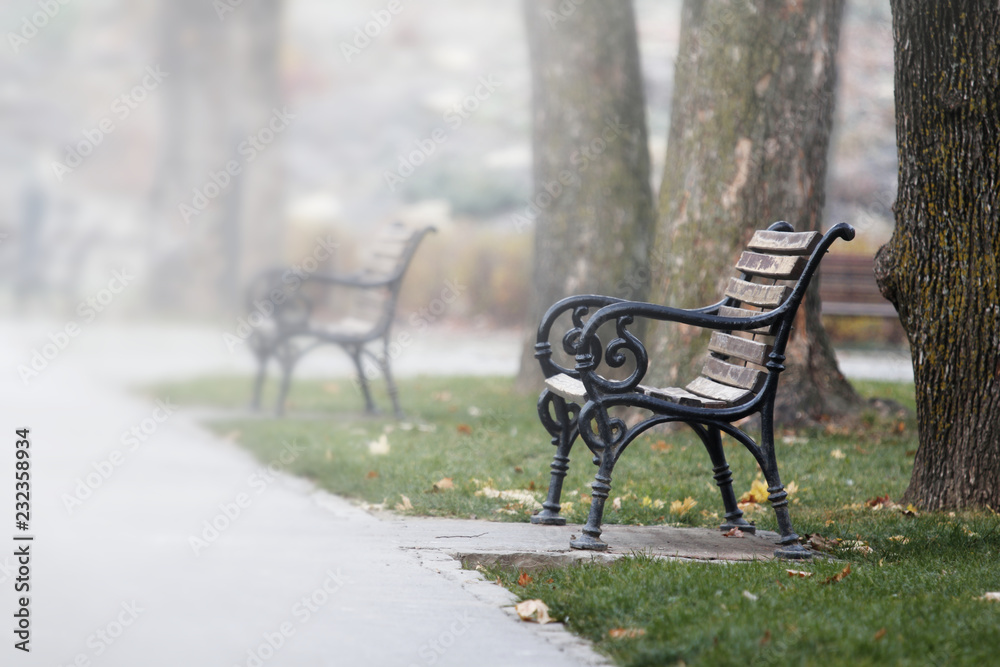 Benches on the alley in the park on a foggy morning