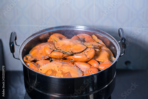 Steamed crab in pot.  live crabs in a pot. steaming shanghai hairy crabs, chinese cuisine. Steamed crab, Chinese seafood stalls. photo