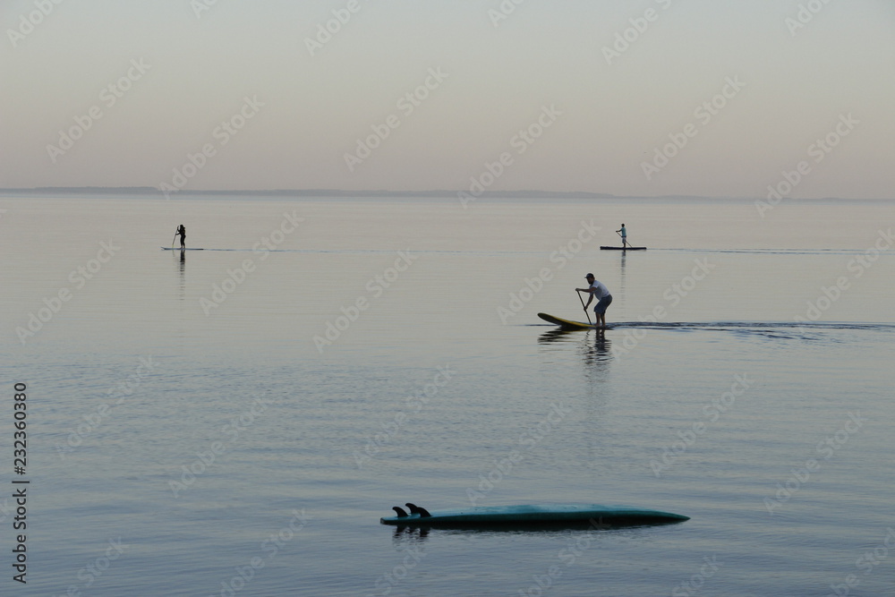 Fototapeta premium lines