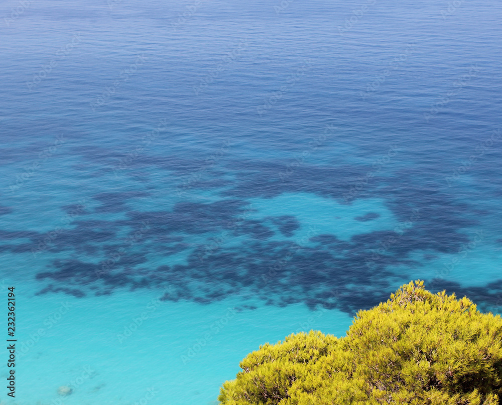 Turquoise water and green pines of mediterranean sea