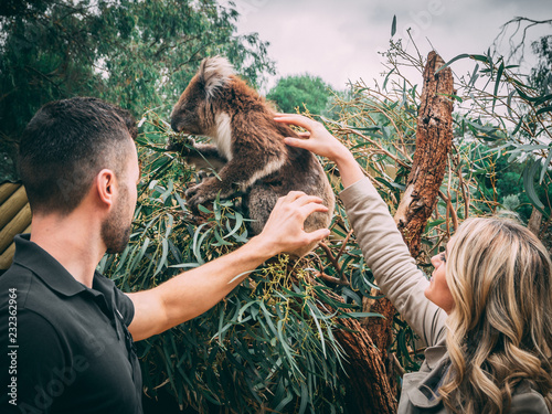 Photography Couple Petting a Koala While on Vacation in Australia