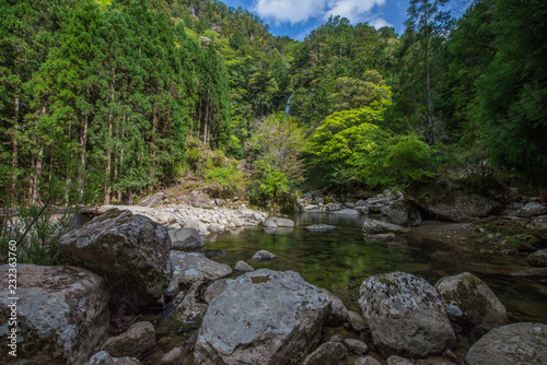 Lakeside view in deep green forest