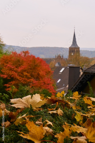 Bad Bodendorf im Herbst photo