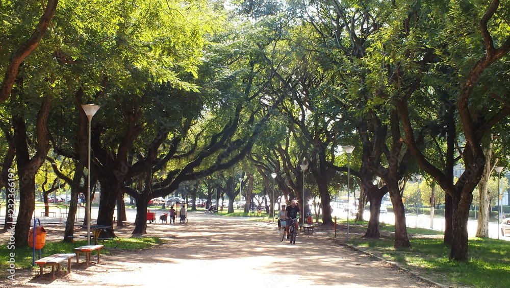 vida natural vida natural