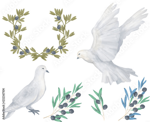 Pigeon and olive clip art digital drawing watercolor bird fly peace dove for wed Fototapete