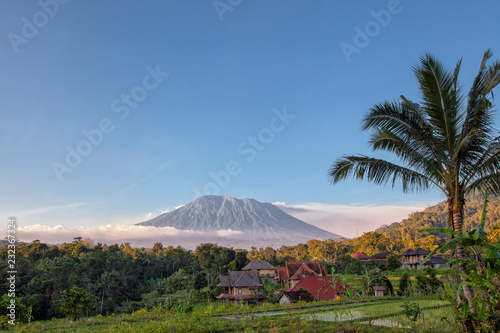 Rice terraces with Mount Agung in background, Bali, Indonesia photo