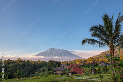 Canvas-taulu Rice terraces with Mount Agung in background, Bali, Indonesia