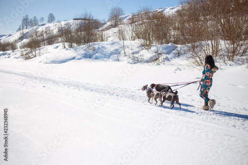 Cheerful woman owner walking with her dogs outdoors on snow in sunny winter day