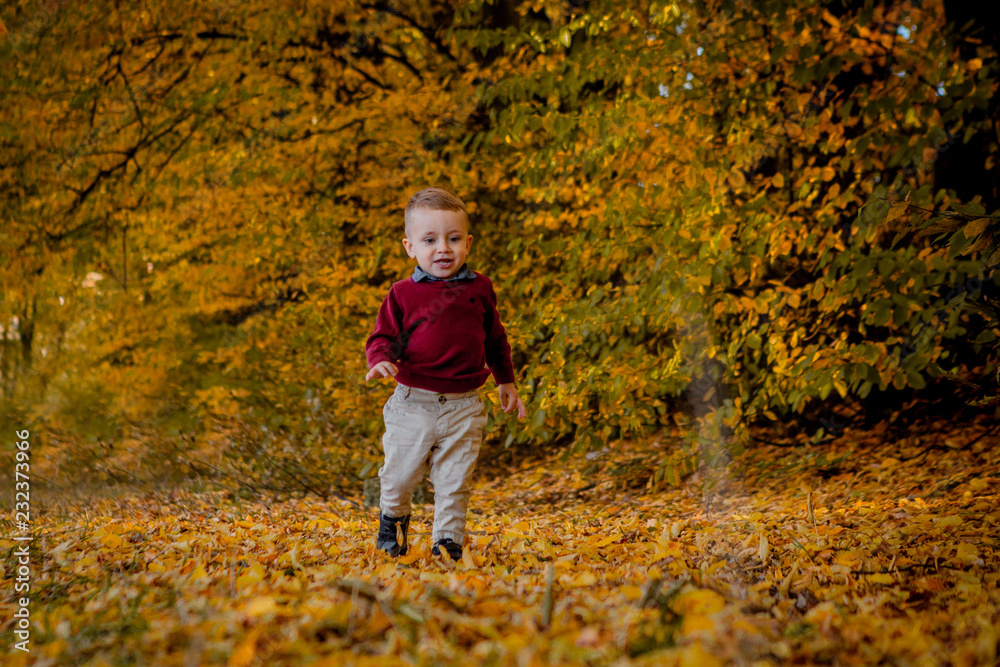 The boy goes through the autumn park The boy goes through the autumn park