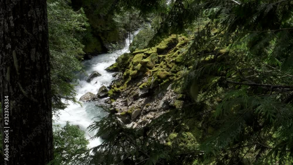 high view of the north fork of the nooksack river in the us pacific northwest state of washington high view of the north fork of the nooksack river in the us pacific northwest state of washington