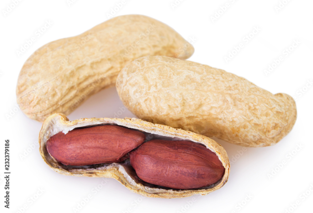 Peanut on white background Peanut on white background