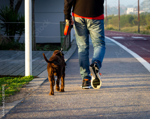 Man Walks Dog Near Cycle Path