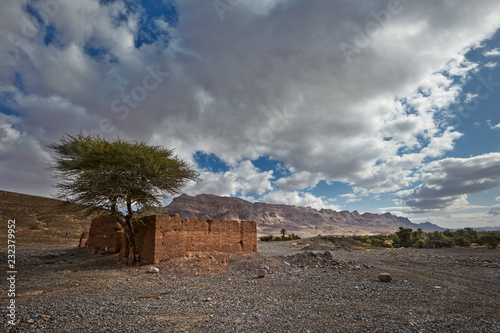 Mountains and Date Palms in the Draa valley near Agdz and Tamnougalt, Souss-Massa-Draa region, Morocco photo