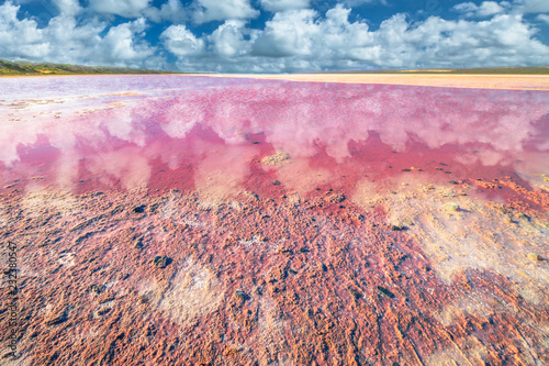 Picturesque shore Pink Salt Lake, Gregory in Western Australia. Blue sky with clouds reflects in Hutt Lagoon between Geraldton and Kalbarri, with a vivid pink color for the presence of algae in summer photo