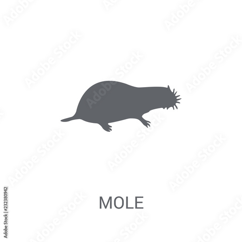 Mole icon. Trendy Mole logo concept on white background from animals collection