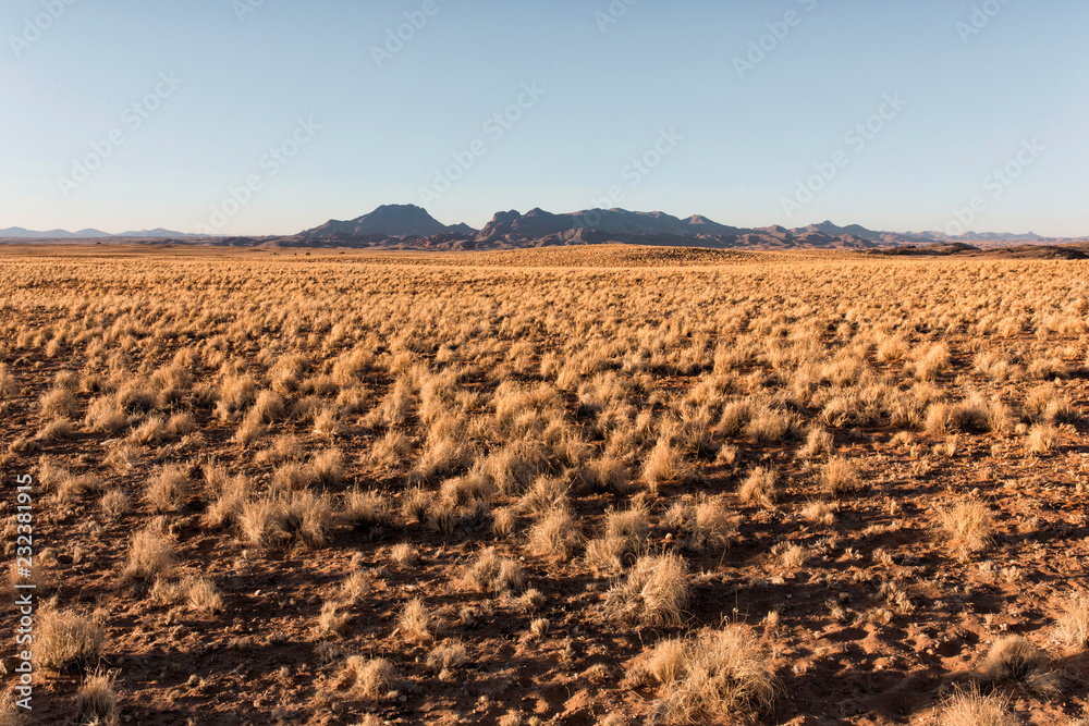 The Namib-Naukluft National Park is a national park of Namibia encompassing part of the Namib Desert and the Naukluft mountain range