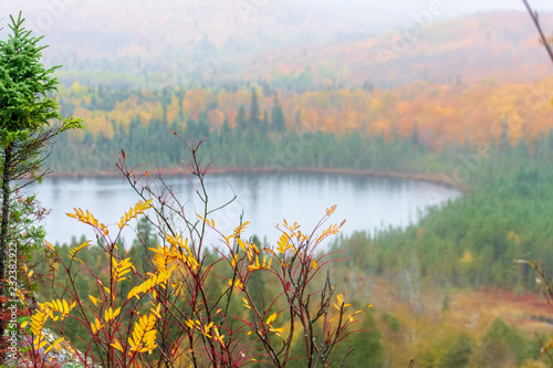 Rainy day beauty - peak fall colors and fog over mountain lake
