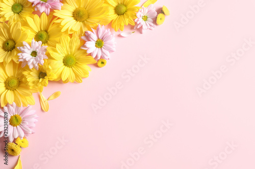 Beautiful chamomile flowers on color background, flat lay with space for text © New Africa