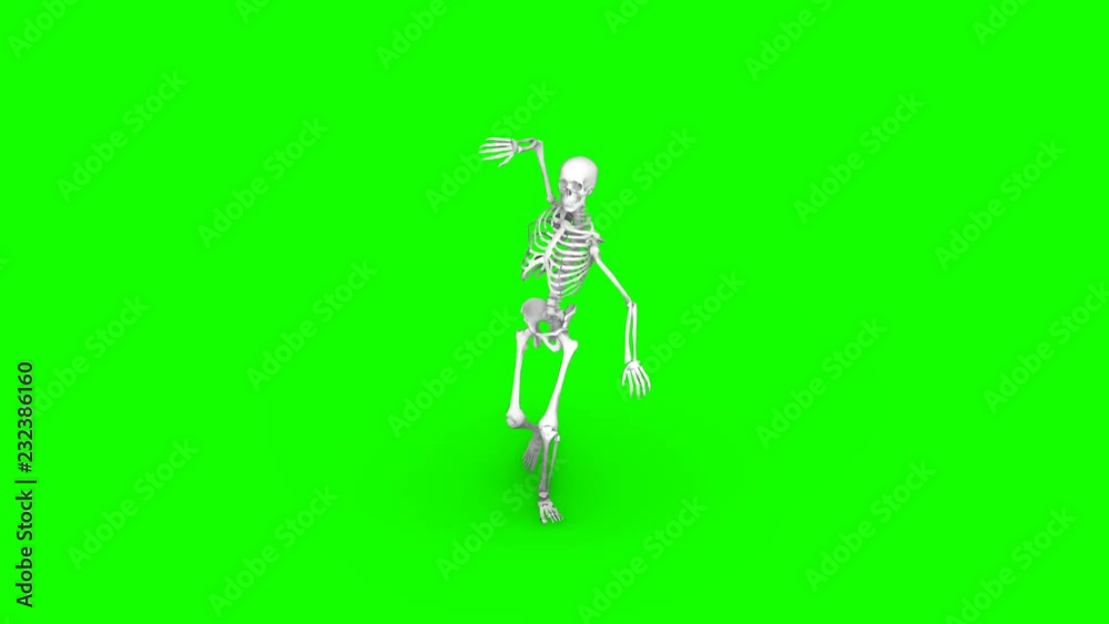 Skeleton dancing on an isolated green background, seamless loop animation Skeleton dancing on an isolated green background, seamless loop animation