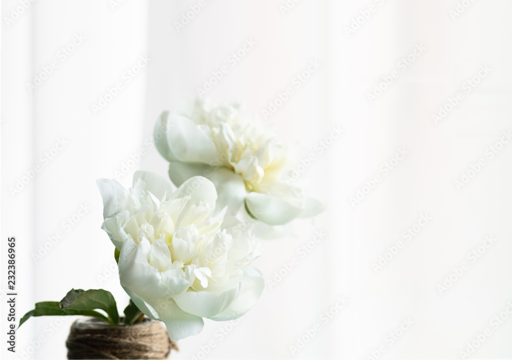 Two Peonies in Glass and Twine Vase with Modern White Background