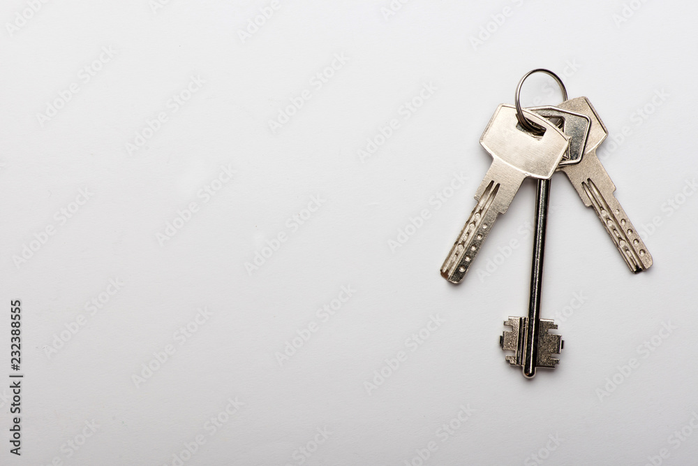 keys to the apartment. house keys keys to the apartment. house keys