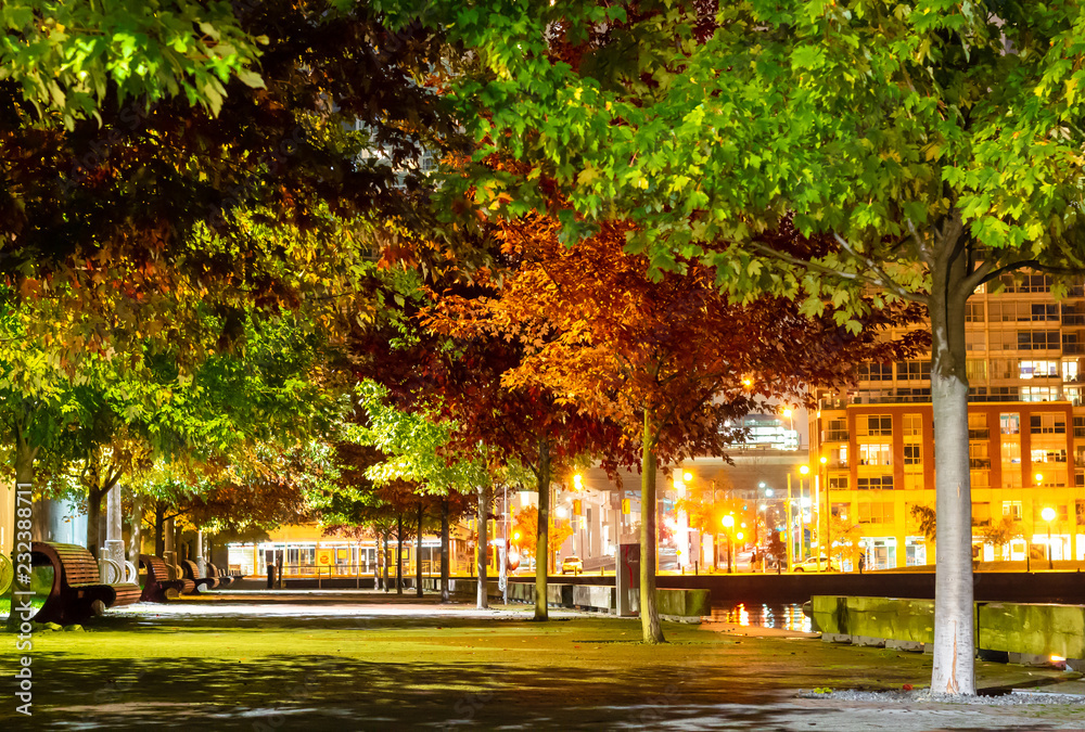An interlock park path and treed in area along the lake shore at night in autumn months.