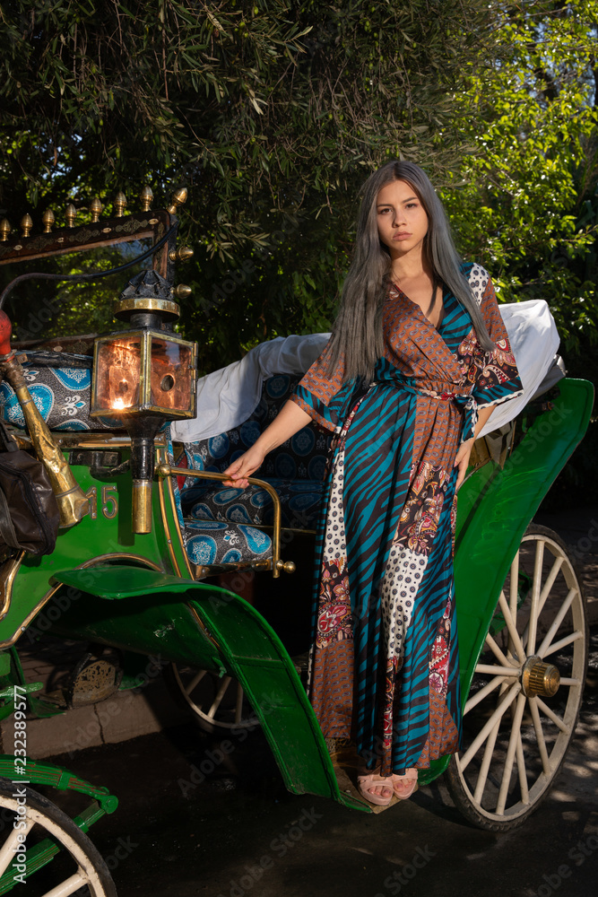 Obraz premium Beautiful young woman on the horse carriage