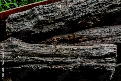 Obraz na płótnie Close up of aged firewood. w salonie