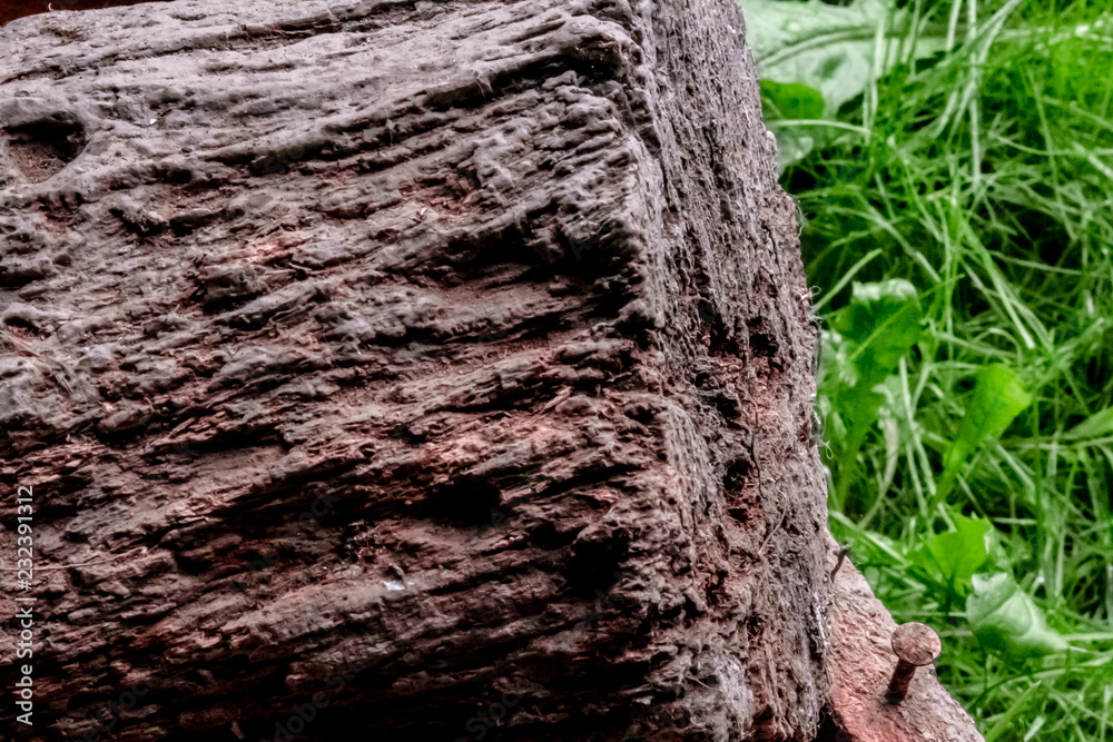 Close up of aged firewood.