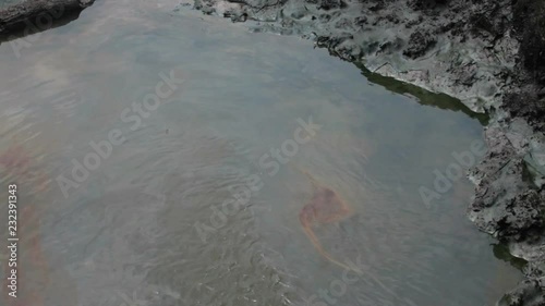 nigeria oil spill pollution petroleum