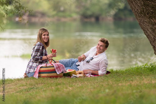 Couple in love enjoying picnic time © .shock