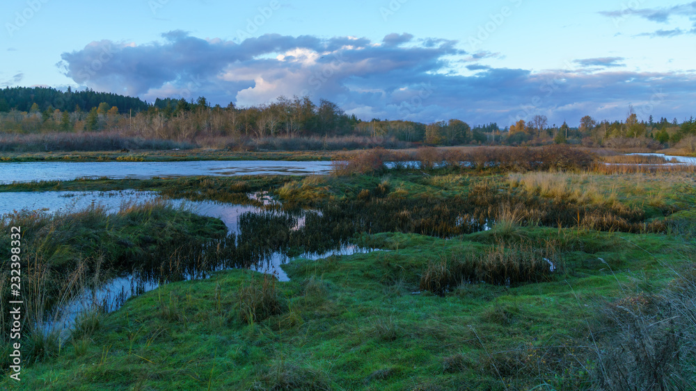 Sunset at Lynch Cove Wetlands Washington State Sunset at Lynch Cove Wetlands Washington State