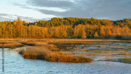 Sunset at Lynch Cove Wetlands Washington State