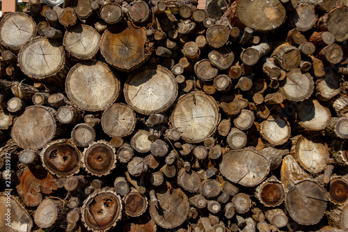 The wood used as fuel