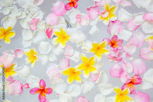   Frangipani petals and flowers in the bathtub  spa weekend  wellbeing  body care and beauty concept