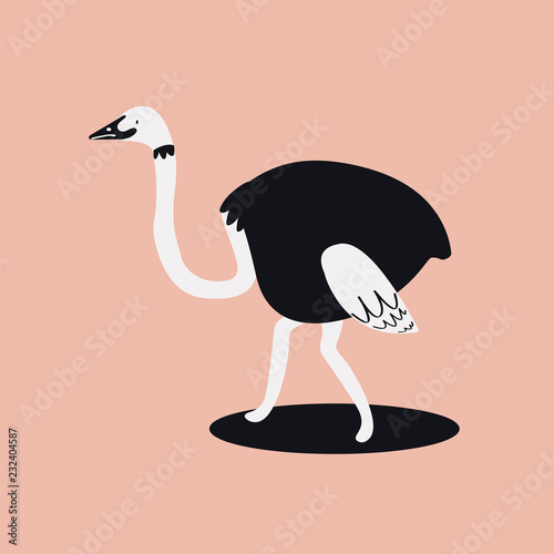 Cute wild common ostrich cartoon illustration